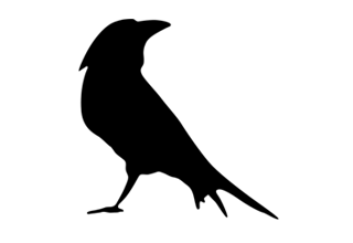 CasaCuervo