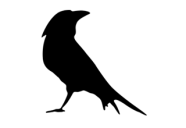 CasaCuervo
